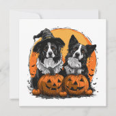 Border Collie Honden Halloween Jack O Lanterns Kaart (Voorkant)