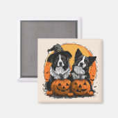 Border Collie Honden Halloween Jack O Lanterns Magneet (Voorkant / Achterkant)