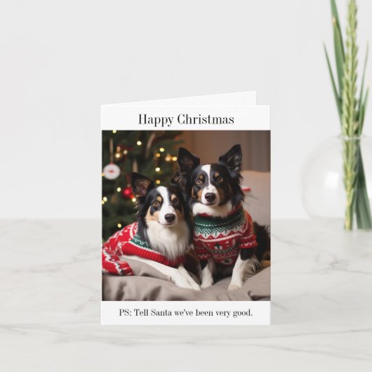 Border Collie Honden in Kersttruien Kaart (Voorkant)