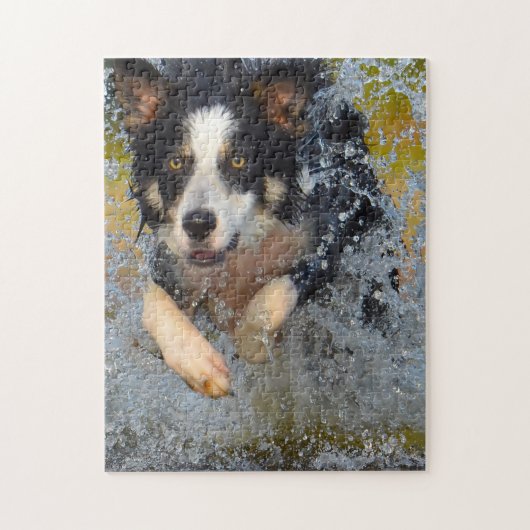 Border Collie Honden. Legpuzzel (Verticaal)