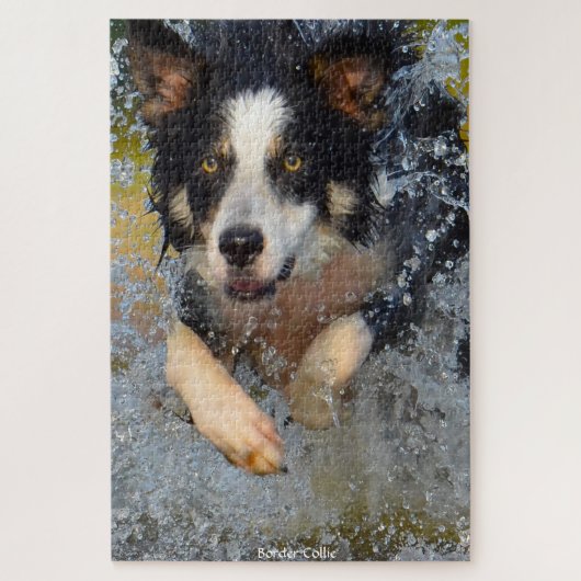Border Collie Honden. Legpuzzel (Verticaal)