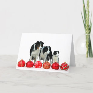 Border Collie Honden met Rode Kerstmis Ornamenten Feestdagen Kaart