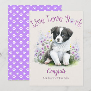 Border Collie hondenadoptie, Gotcha-dag Kaart