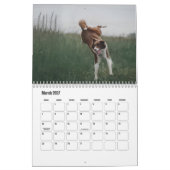 Border Collie hondenkalender Kalender (Mar 2027)
