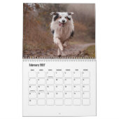 Border Collie hondenkalender Kalender (Feb 2027)