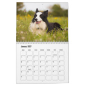 Border Collie hondenkalender Kalender (Jan 2027)