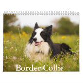 Border Collie hondenkalender Kalender (Hoes)