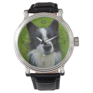 Border Collie Horloge