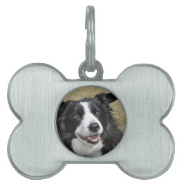 Border Collie Huisdieren Naamplaatje
