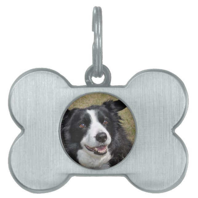 Border Collie Huisdieren Naamplaatje (voorkant)