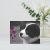Border Collie, ik hou van jou Briefkaart (Staand voorkant)