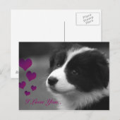 Border Collie, ik hou van jou Briefkaart (Voorkant / Achterkant)