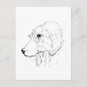 Border Collie Illustratie – Minimalistische Kunst Briefkaart