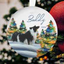 Border Collie in besneeuwd winter bos Kerstboom