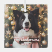 Border Collie in een sjaal en kerstboom Glas Ornament (Voorkant)
