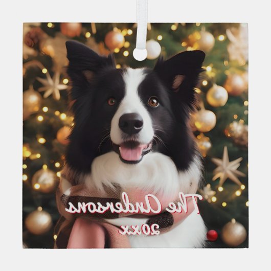 Border Collie in een sjaal en kerstboom Glas Ornament (Achterkant)