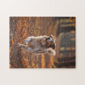 Border Collie in het bos Legpuzzel (Horizontaal)