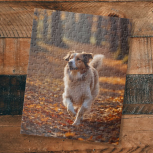 Border Collie in het bos Legpuzzel