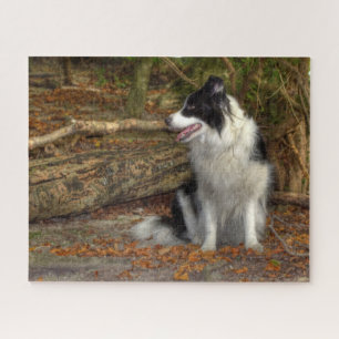 Border Collie in het bos Legpuzzel