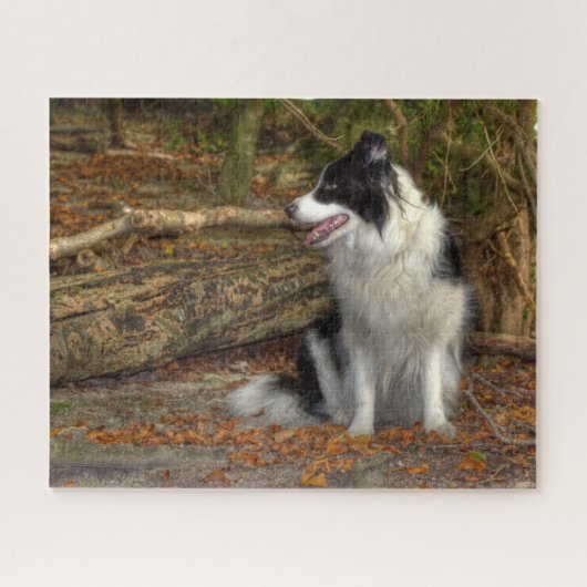 Border Collie in het bos Legpuzzel (Horizontaal)