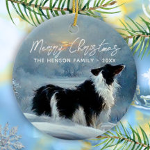 Border Collie in wintersneeuw kerstvakantie