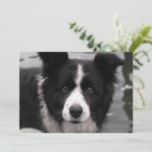 Border Collie Invitation Kaart (Staand voorkant)