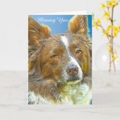 Border Collie Kaart (Gele Bloem)