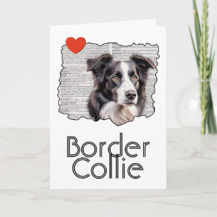 Border Collie Kaart