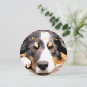 BORDER COLLIE KAART (Staand voorkant)