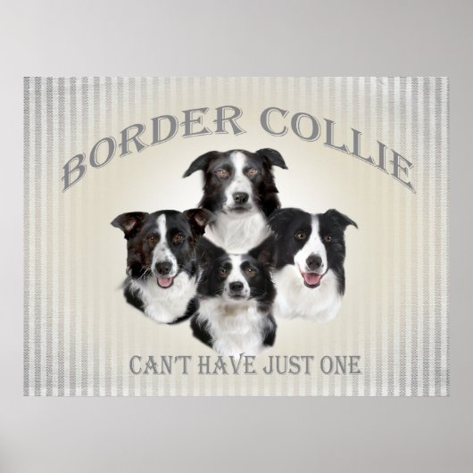 Border Collie kan niet slechts één Poster hebben (Voorkant)