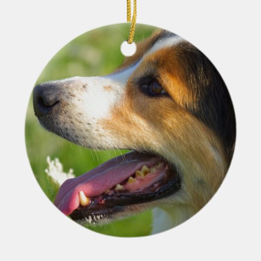 Border Collie Keramisch Ornament (Voorkant)