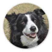 Border collie keramische knop (Voorkant)