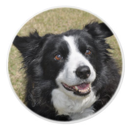 Border collie keramische knop