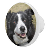 Border collie keramische knop (Rechts)