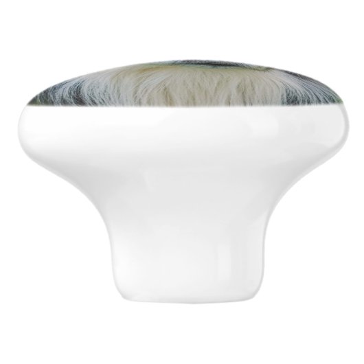 Border Collie Keramische Knop (Zijkant)