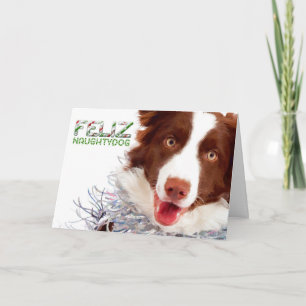 Border Collie Kerst Kaart