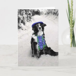 Border Collie Kerst Kaart