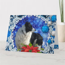 Border Collie kerstkaart