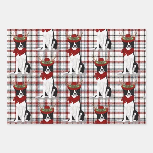 Border Collie Kerstmis Dog en Westerne speldenstaa Inpakpapier Vel (Voorkant 3)