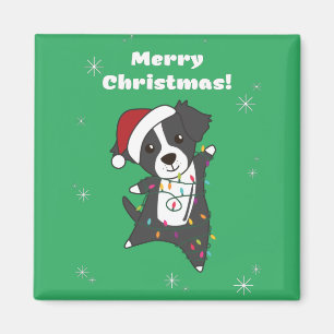 Border Collie Kerstmis Dog Winter Animals Ma Magneet