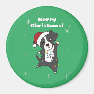 Border Collie Kerstmis Dog Winter Animals Ma Magneet
