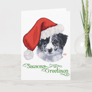 Border Collie Kerstmis Feestdagen Kaart