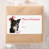 Border Collie Kerstmis Gift Stickers (Insitu)