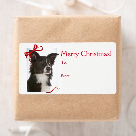 Border Collie Kerstmis Gift Stickers (Insitu)