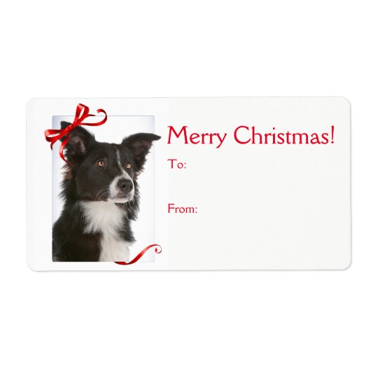 Border Collie Kerstmis Gift Stickers (Voorkant)