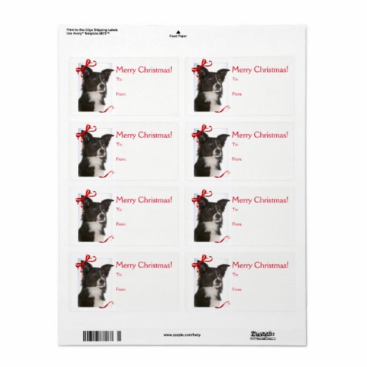 Border Collie Kerstmis Gift Stickers (Full Sheet)