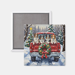 Border Collie Kerstmis Rode Truck Vakantie Magneet