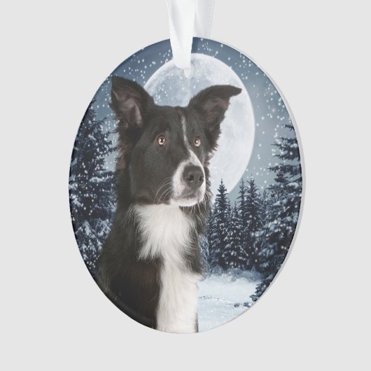Border Collie kerstversiering Ornament (voorkant)