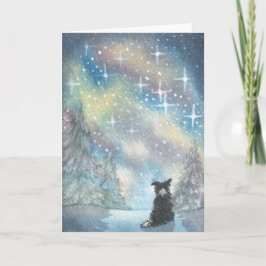 Border Collie kijkt naar Starry Sky, Feestdagen KA