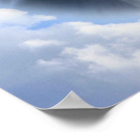 Border Collie kijkt van bovenaf Poster (Hoek)